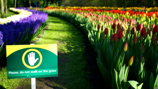 Знак "По газонам не ходить"