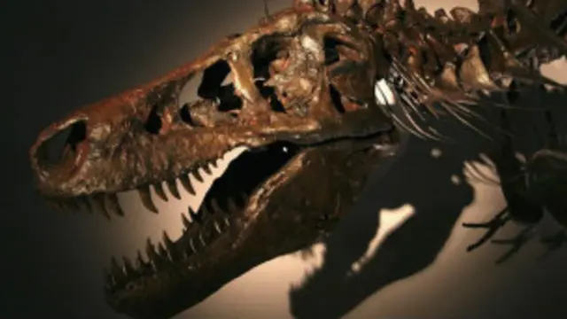 Tyrannosaurus Bataar