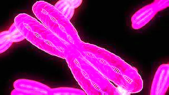 Ilustración artística representando cromosomas Science Photo Library