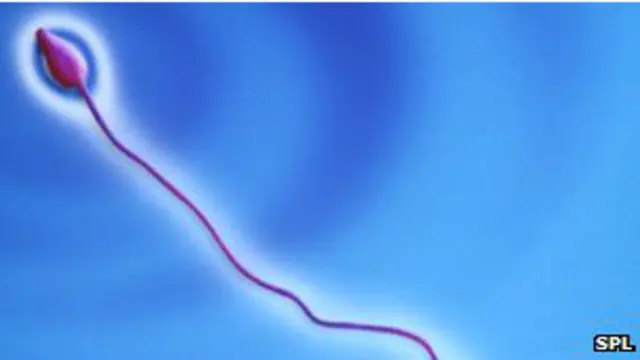 गर्भनिरोधक गोली