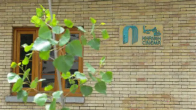 آنچه موجب ایجاد اختلال در برخی فعالیت های خانه سینما مانند بخش مربوط به بانک فیلمنامه و حقوق مادی و معنوی فیلمنامه نویسان عضو آن، شده است ابهام موجود در وضعیت کنونی تکالیفی است که بر عهده خانه سینما بوده است