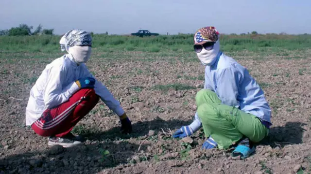 Деҳқончилик ислоҳ этилмаган Ўзбекистон арзон қўл кучини ишга солади