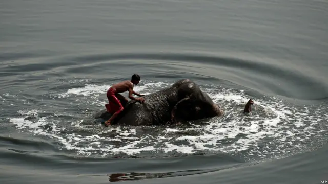 भारत में गर्मी