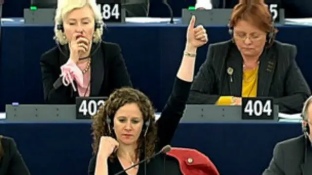 Голосование в Европарламенте