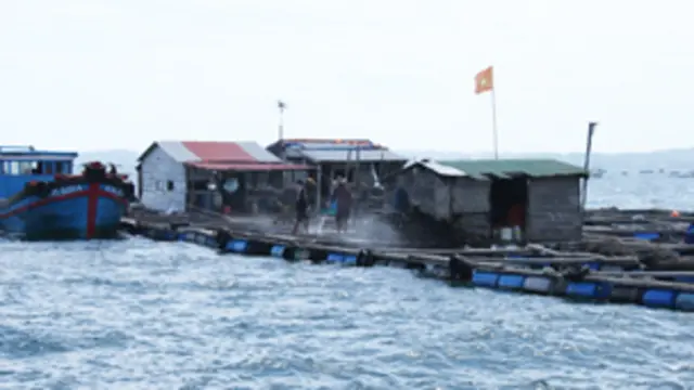 भारत, भाषाएं, विलुप्त