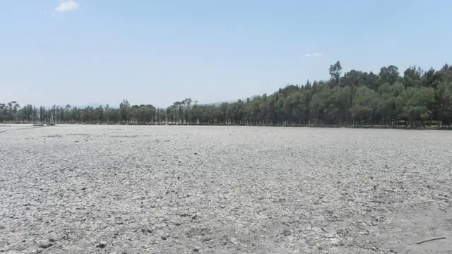 Lago artificial del Bosque de Tláhuac. Foto: Alberto Nájar.