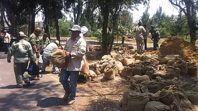 Trabajos para recuperar el lago artificial del Bosque de Tláhuac. Foto: Alberto Nájar.