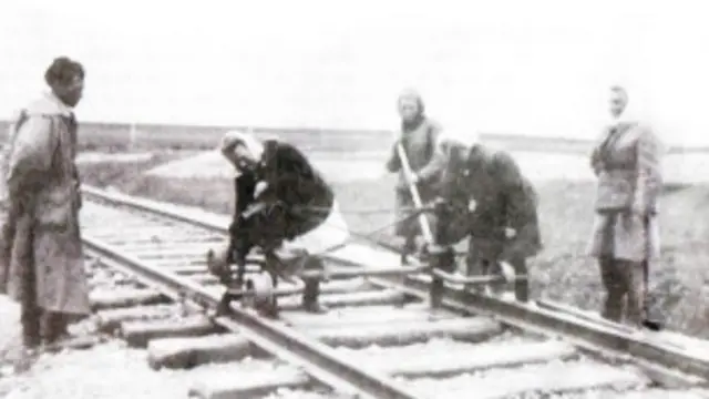 ट्रांस पोलर परियोजना