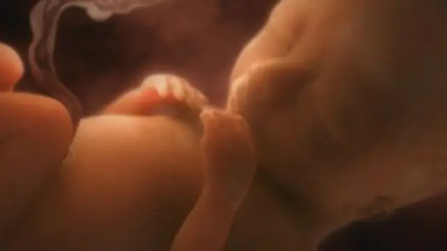 गर्भाशय