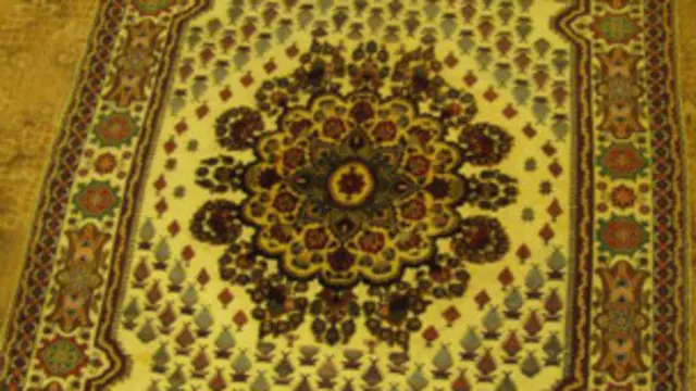 غالۍ له کابله برلین ته د استخباراتو د مشر په الوتکه کې ولېږدول شوه.