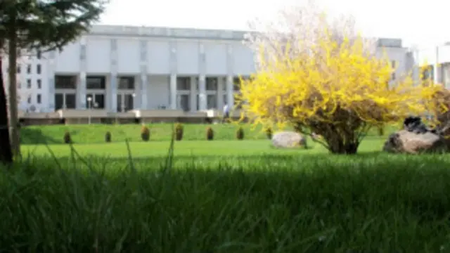 د افغانستان د بهرنیو چارو وزارت دغه عمل د نړیوالو اصولو خلاف بللی