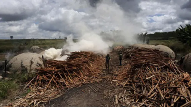 Destrucción de un horno para hacer carbon de madera cortada ilegalmente en la Amazonía brasileña.