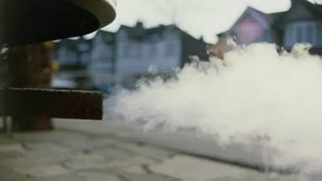 डब्ल्यूएचओ के विशेषज्ञों के अनुसार डीजल के धुंऐं से फेफड़े को कैंसर होता है. इससे ब्लेडर का कैंसर होने की भी संभावना है