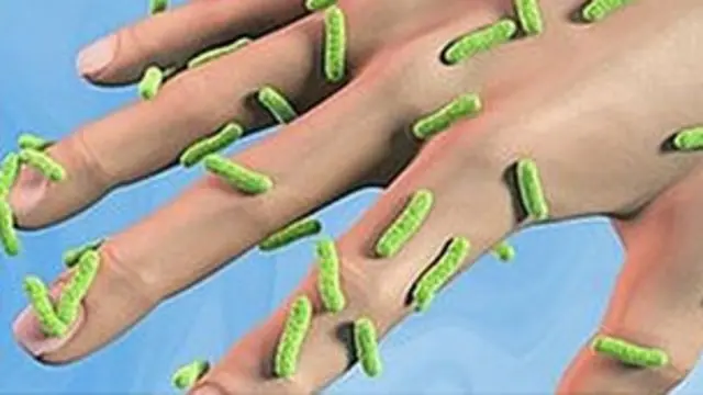 Bactérias | Foto: BBC