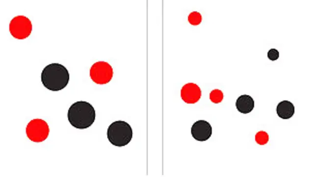 Prueba con conjuntos de puntos utilizada por la Dra. Vonk para estudiar las habilidades de los osos tili