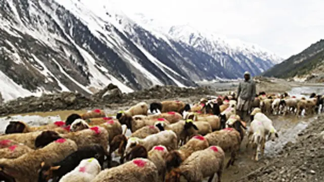 Ladakh nằm trên dãy núi Himalaya, thuộc vùng đông Kashmir