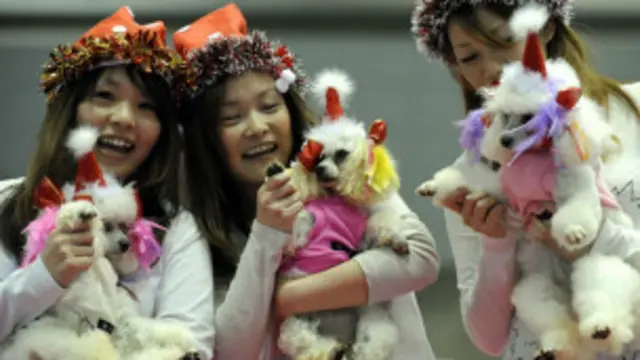 2010年東京國際狗展，日本女朗捧著愛犬爭出風頭