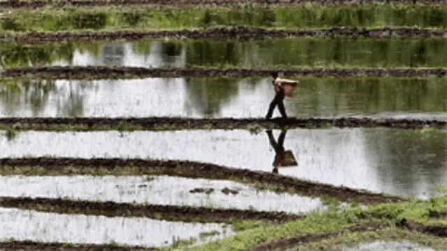 भारत में इस वर्ष मानसून चार दिन देर से पहुँचा