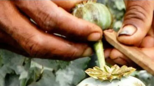 خرید و فروش مواد مخدر از پرسودترین تجارت ها در جهان محسوب می شود