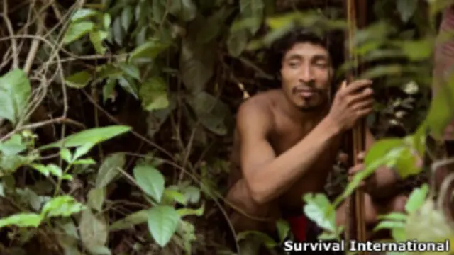 Indio aiwá (Foto Survival Internationa)