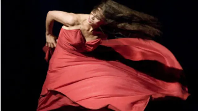 رقص های طراحی شده توسط پینا از لحاظ بصری بسیار چشمگیرند