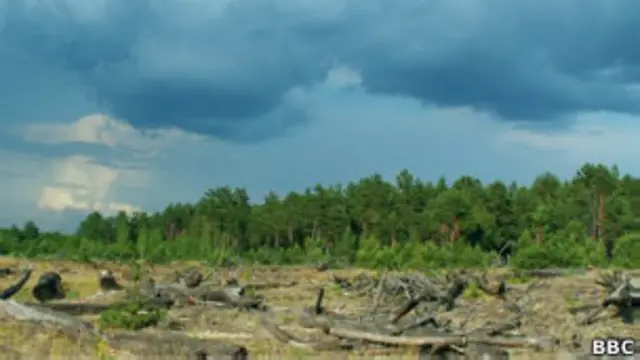 Зона отчуждения Чернобыля