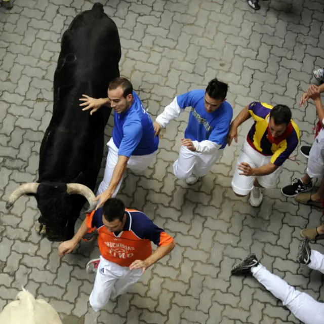 Adu banteng di Pamplona