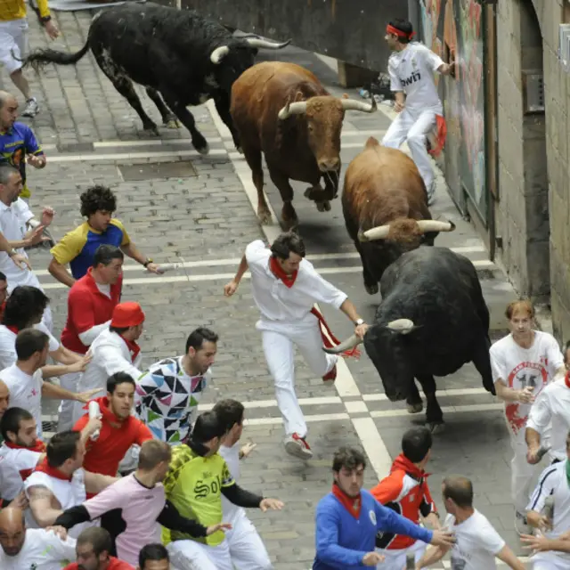 Adu banteng di Pamplona