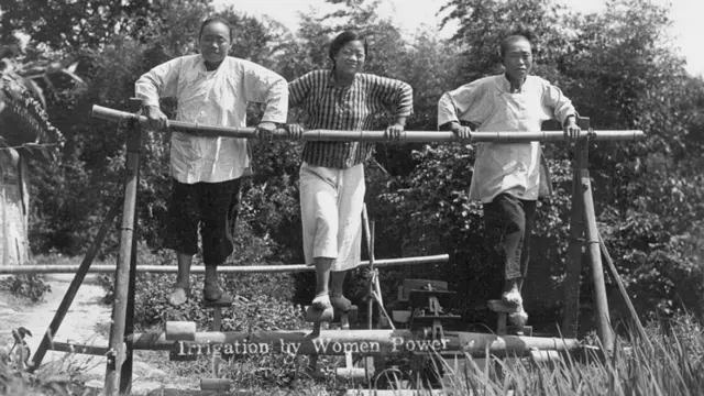 Орошение рисовых полей.