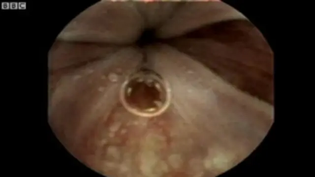 دا ۵۰ ميلیونه پونډه به د حکومت د ساینسي بودیجې نه اخیستل کېږي.