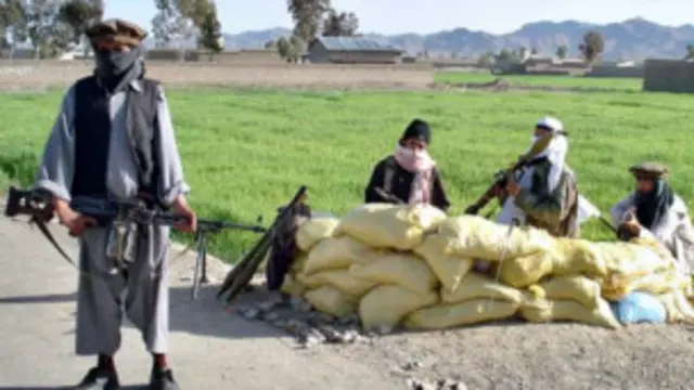 افغان چارواکي وايي هڅه کوي چې د دغو ډلو مخه ونيسي.