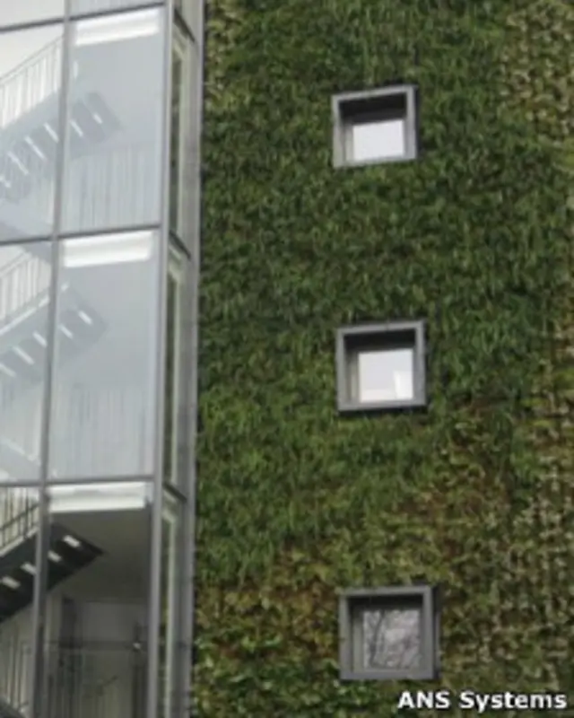 plantas_calles_paredes