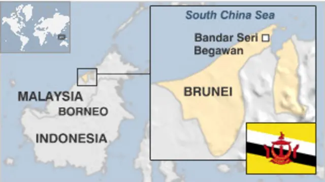 Diduga WNI tersebut ditangkap karena terkait jaringan terorisme.