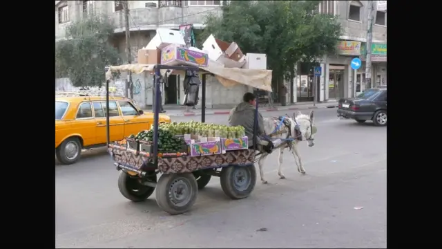 Liliana Mesquita/MSF