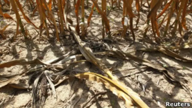 Посуха у США