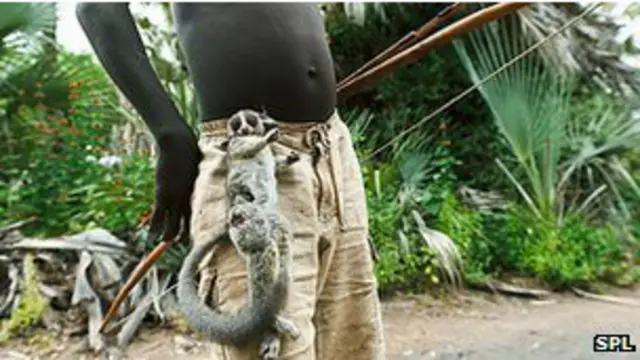 مردمان قبیله هدزا در تانزانیا به سبک انسان های ده هزار سال پیش زندگی می کنند