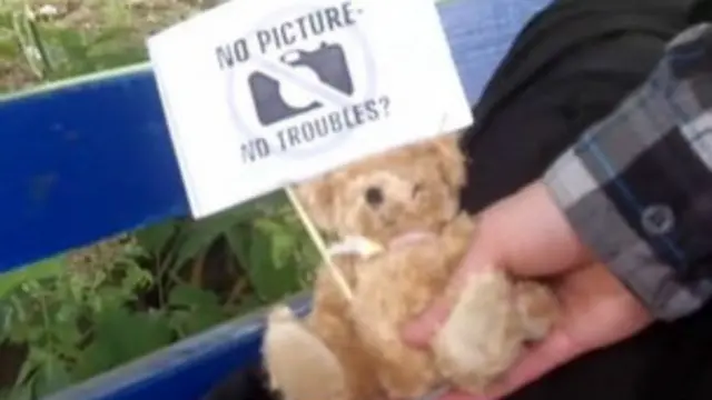 Мишки из "плюшевого десанта"