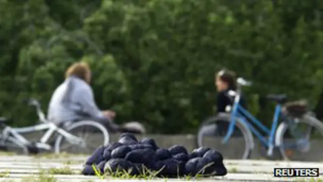 Инсталляция Мартина Гостнера, посвященная работе Франца Марка "Башня голубых лошадей"