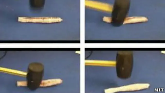 ударостойкость робочервя