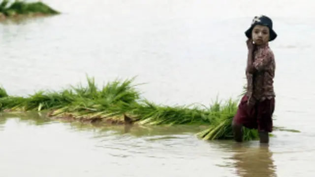 နောက်ထပ် လယ်သိမ်းမှုတွေ မလုပ်ဘူးလို့ ဝန်ကြီး သုံးဦး အာမခံ