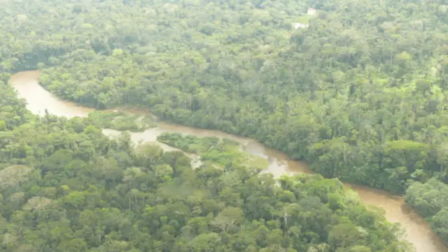 اقوامِ متحدہ میں عالمی ہفتہ برائے جنگلات کے آغاز میں پیش کی گئی رپورٹ میں کہا گیا کہ یہ وقت ہے کہ توجہ درختوں سے انسانوں کی جانب موڑی جائے