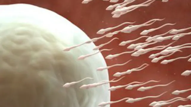 शुक्राणु