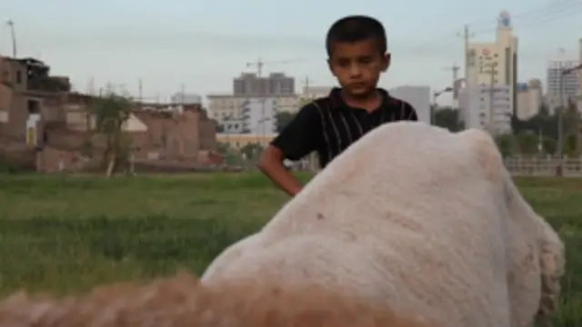 د يوې شمېرنې له مخې د شينجيانګ د وګړيو شمېر شاوخوا څوارلس مليونو ته رسېږي چې اويغوري قوم په کې نژدې اته مليون وګړي اټکل شوی دی، په اويغوريانو پسې بيا د قزاقيانو او قيرغيزيانو شمېر هم د يادونې وړ دی .
