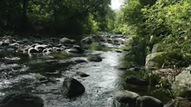 د چاپېريال خونديتوب د سياستوالو لومړيتوبونو کې نه راځي.