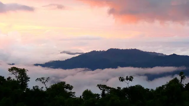 Reserva Las Gralarias