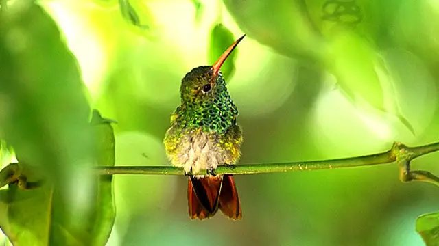 Arroyos escondidos en Las Gralarias Foto Jane Lyons 