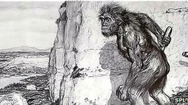 Dibujo de 1909 sobre los Neandertales