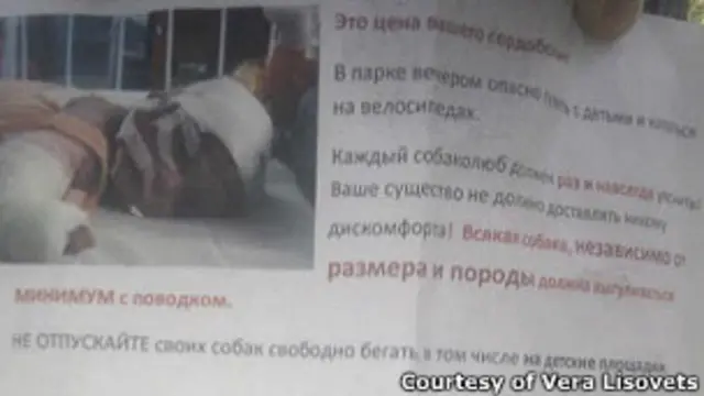 Объявление в парке