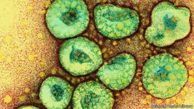 coronavirus