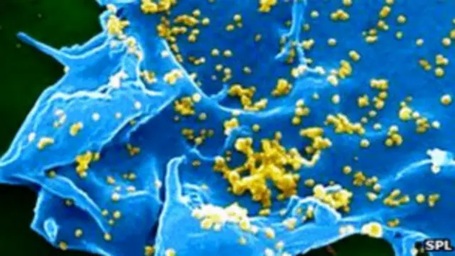 فيروس كورونا